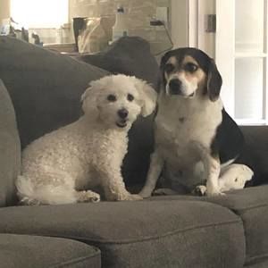 Meet your Posher, Janet